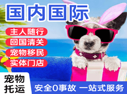 徕宁机场快运国际宠物托运 【国